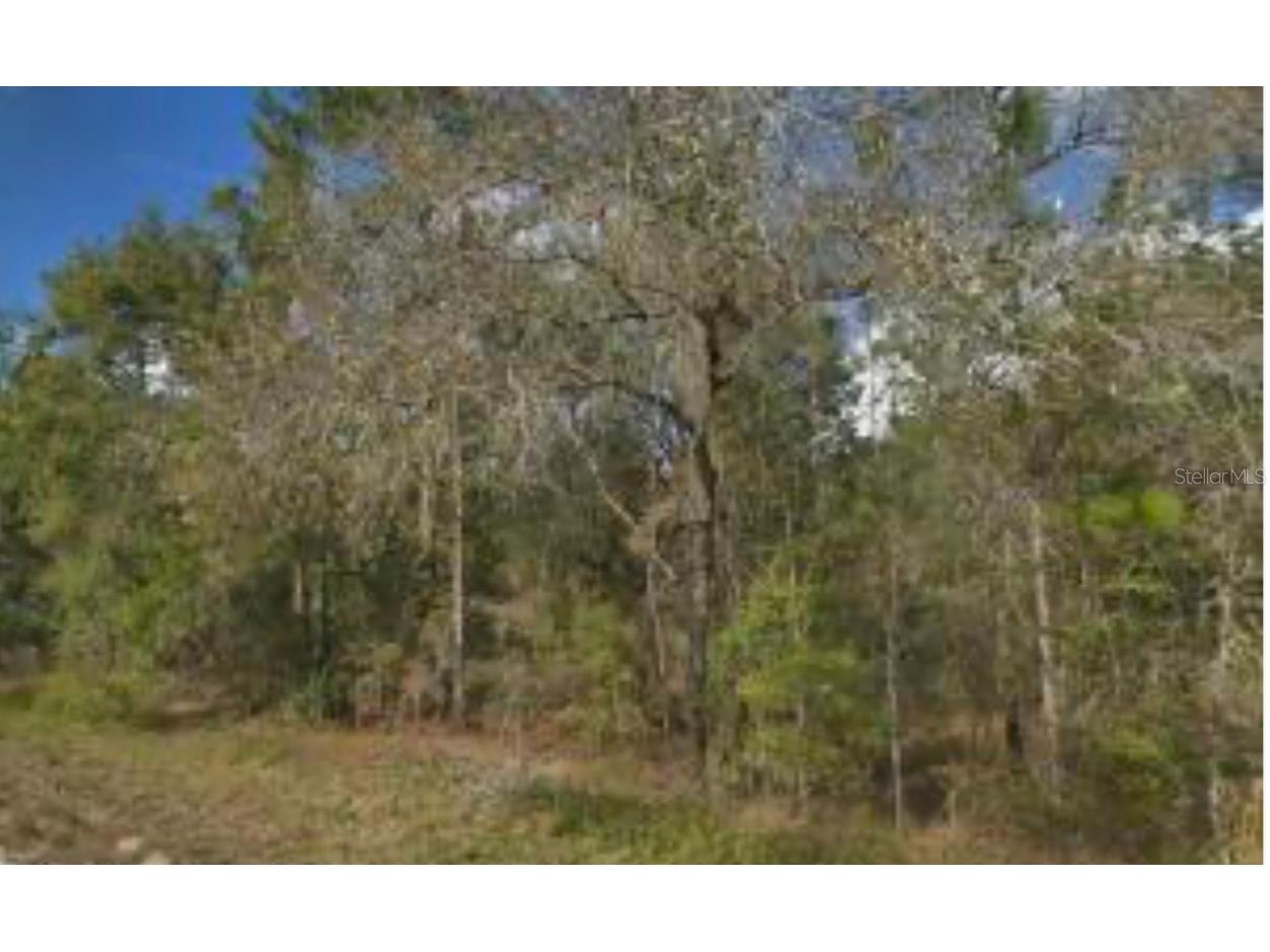 15389 Spring Hill Drive Brooksville FL 34604 W7877622 image4