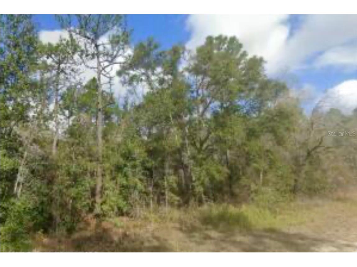 15389 Spring Hill Drive Brooksville FL 34604 W7877622 image5