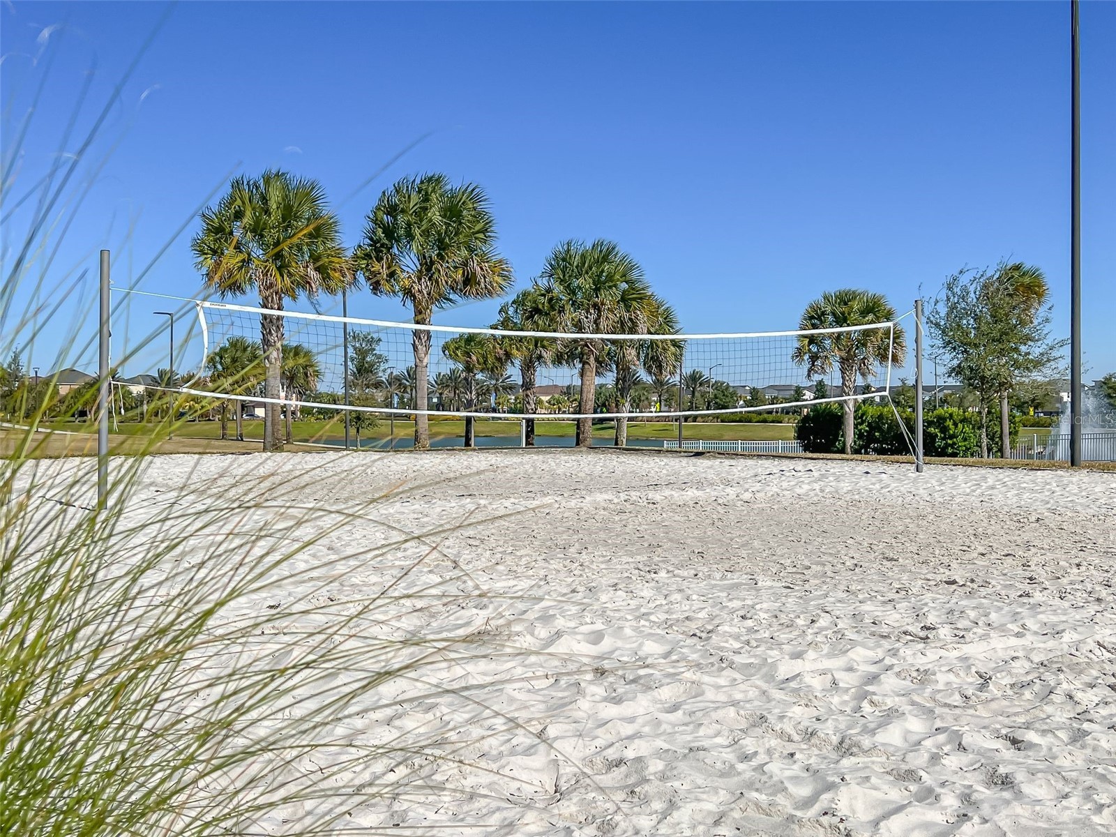 1539 Carey Palm Circle Kissimmee FL 34747 S5146399 image34