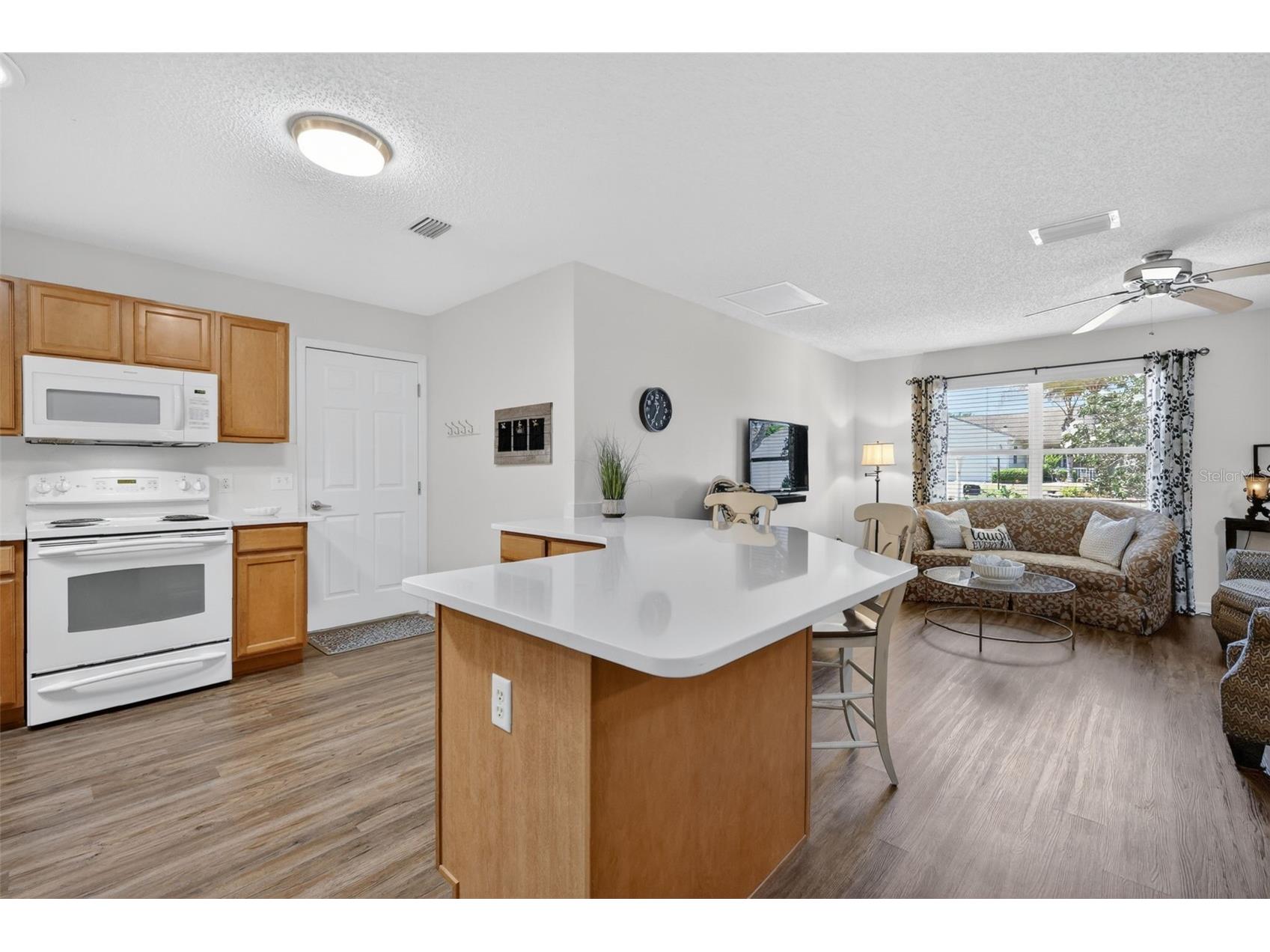 1539 Hollyberry Place The Villages FL 32162 G5110898 image12