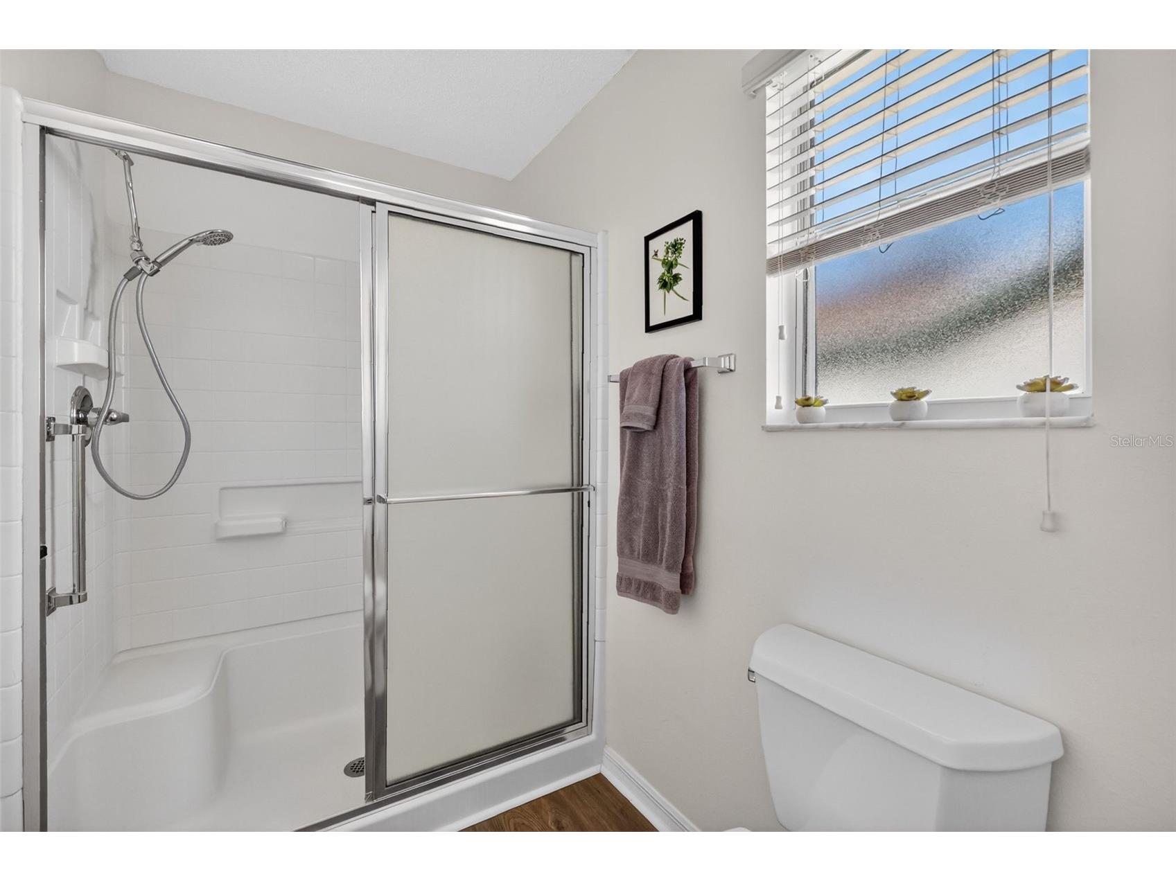 1539 Hollyberry Place The Villages FL 32162 G5110898 image29