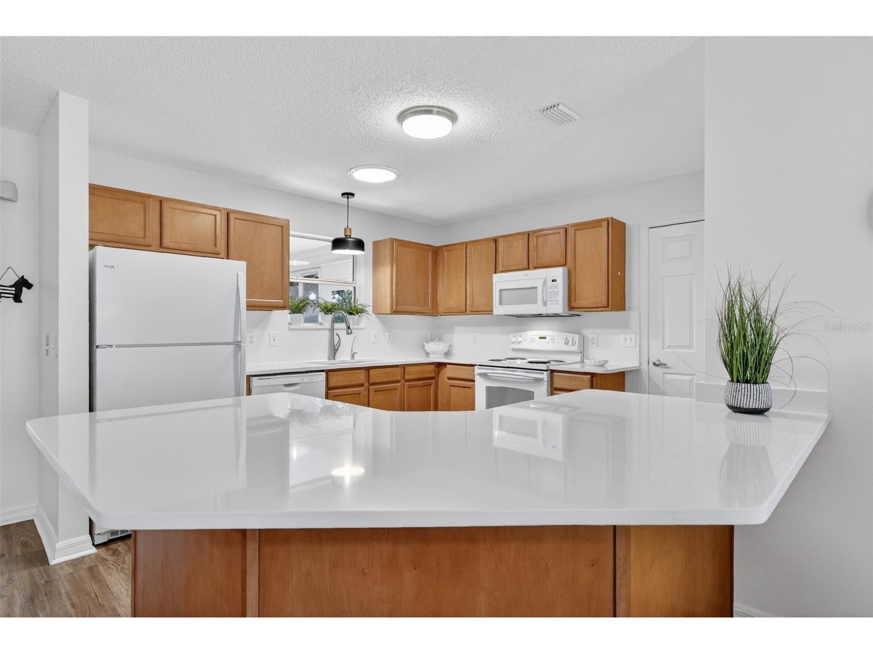 1539 Hollyberry Place The Villages FL 32162 G5110898 image7