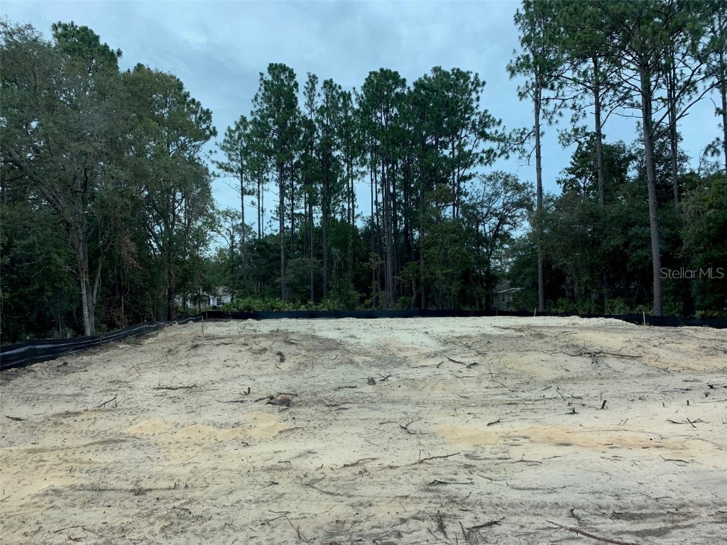 1539 W Barlow Place Dunnellon FL 34434 OM684669 image1