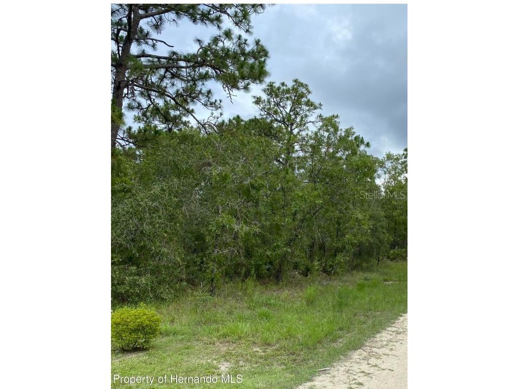 15391 Mottled Owl Road Weeki Wachee FL 34614 W7861530 image1