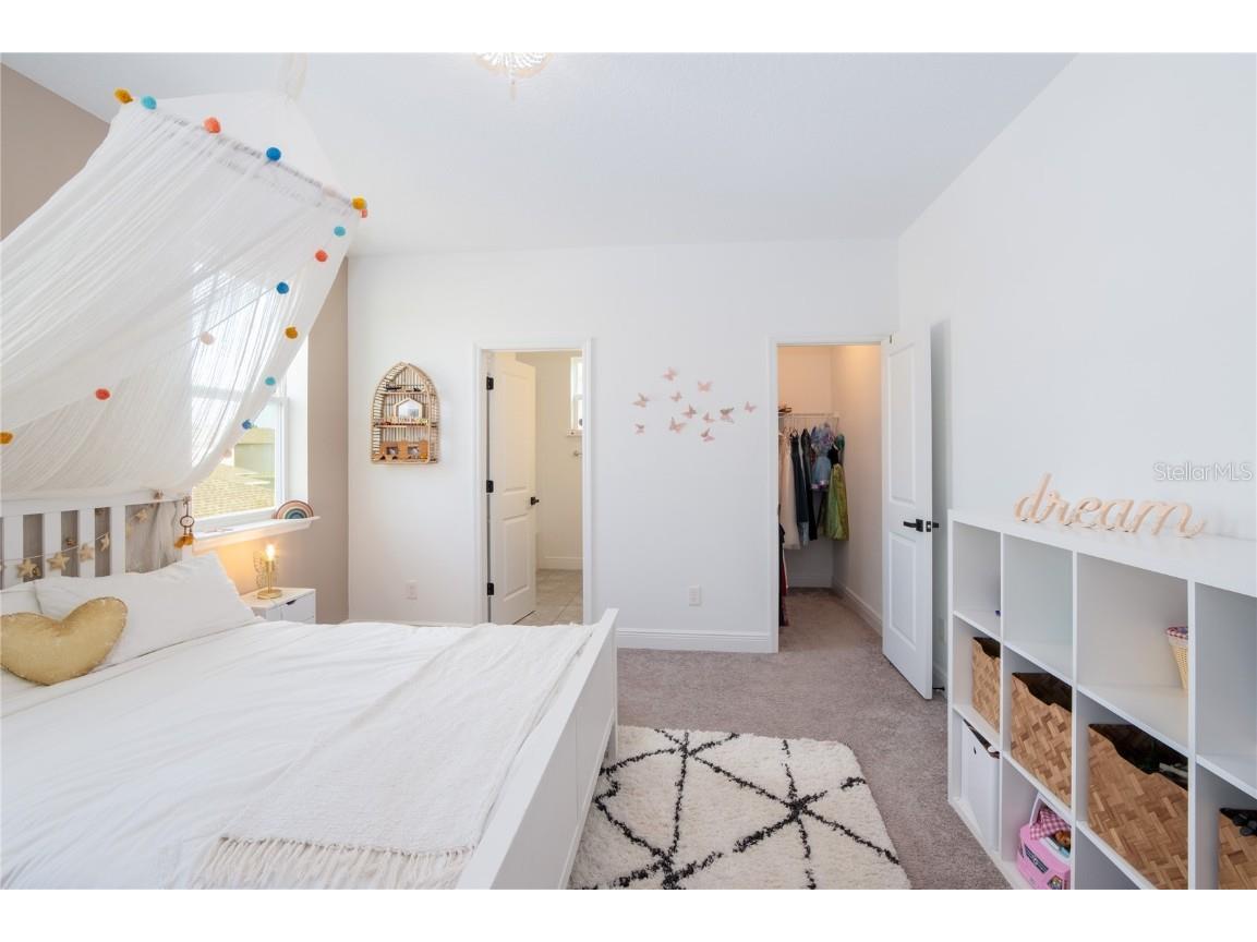 15399 Gilligan Court Winter Garden FL 34787 O6365269 image18