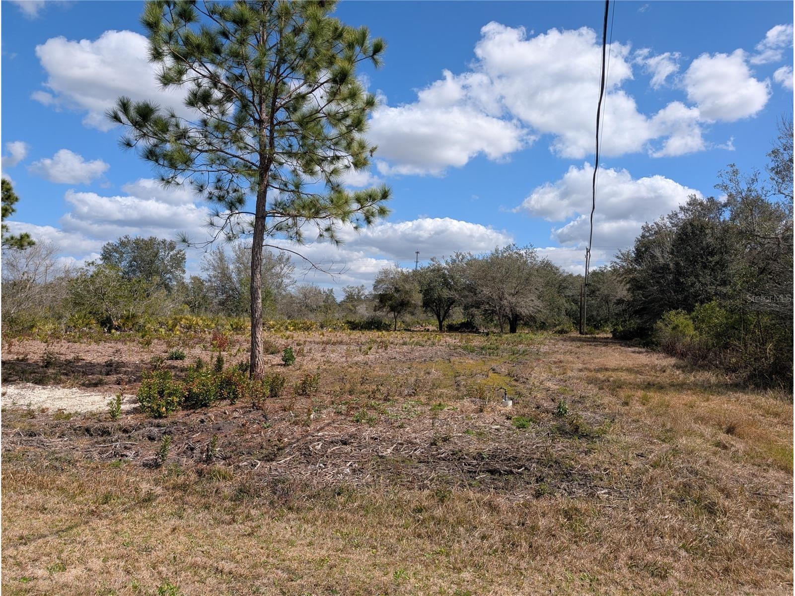 154 Desoto Avenue Indian Lake Estates FL 33855 - LAKE WALK-IN-WATER P4937868 image1