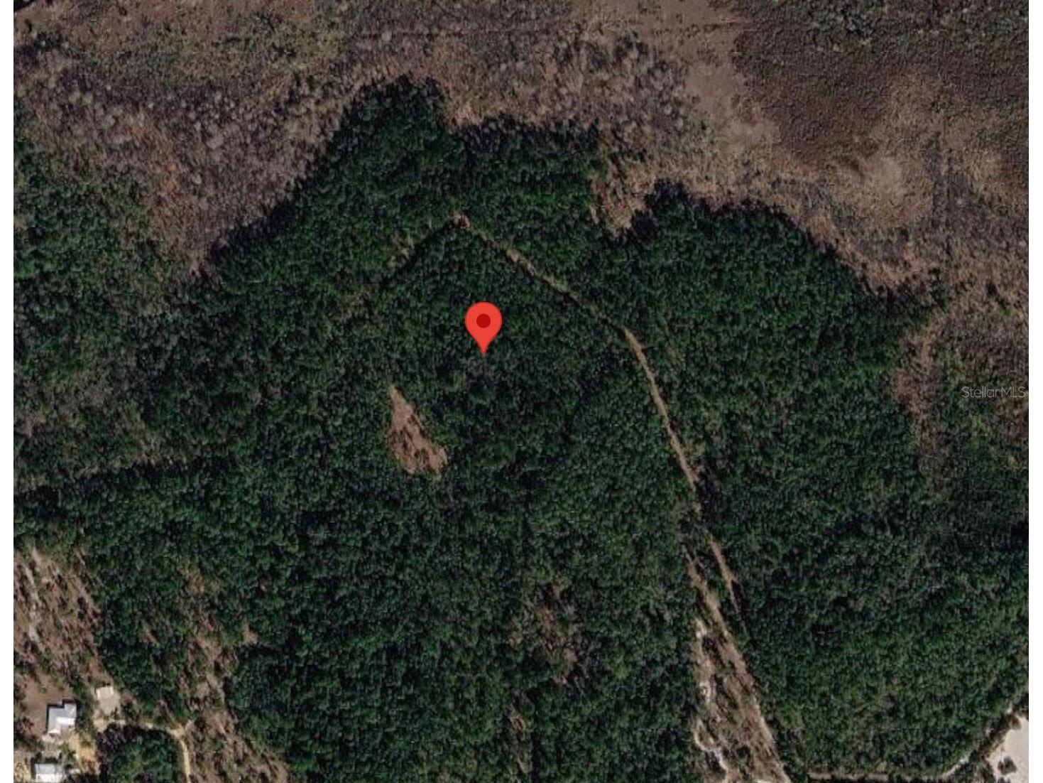 154 James Place Palatka FL 32177 OM728593 image3
