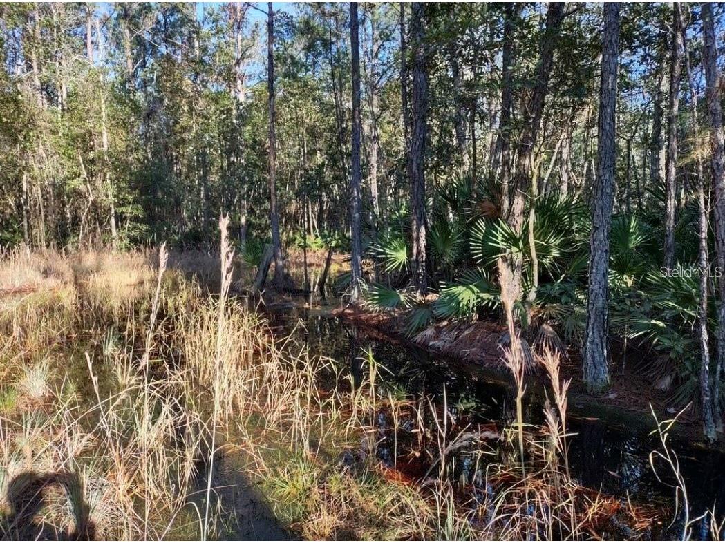154 James Place Palatka FL 32177 OM728593 image6