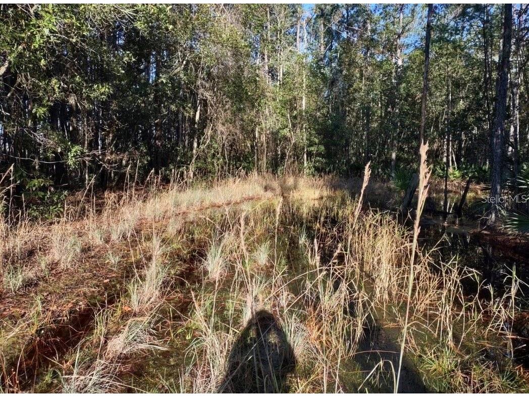 154 James Place Palatka FL 32177 OM728593 image8