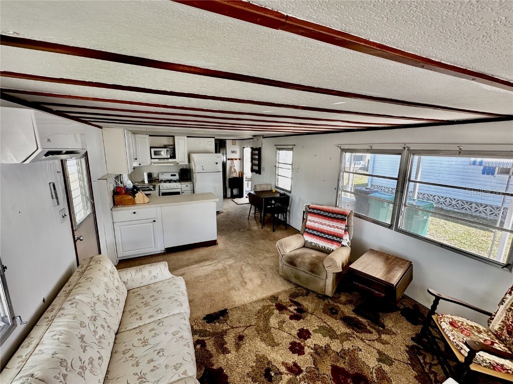 154 Maui Drive Palmetto FL 34221 A4638721 image8