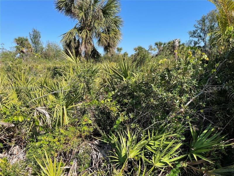 154 Smallwood Road Rotonda West FL 33947 J966322 image1