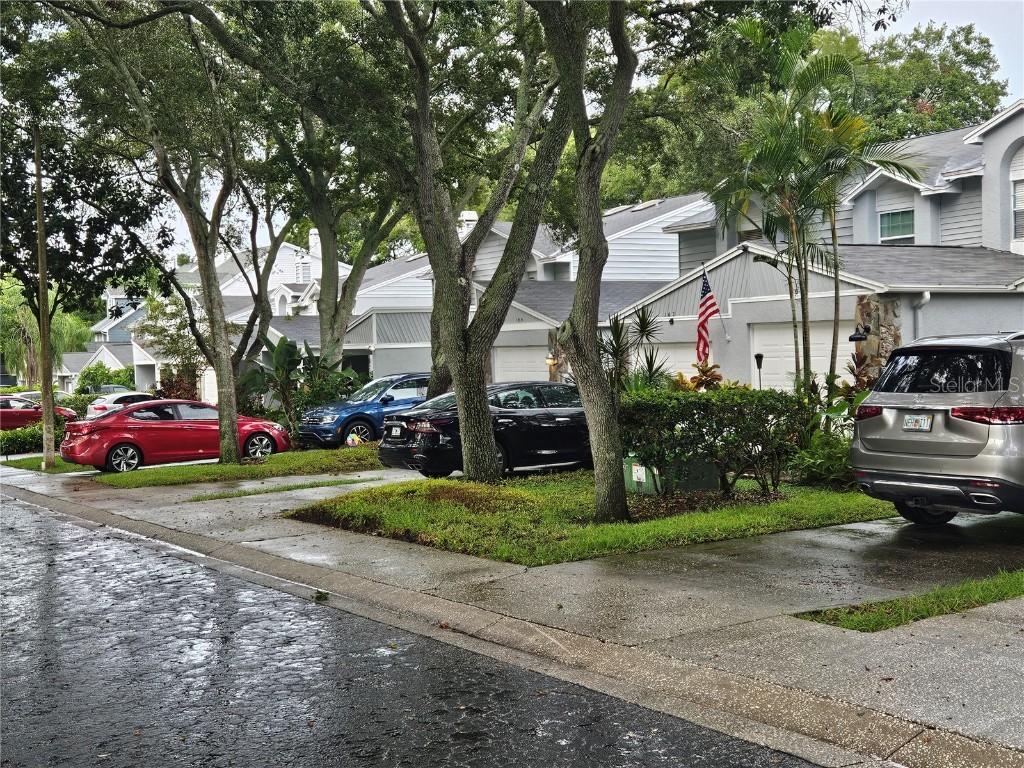 154 St Ives Drive Palm Harbor FL 34684 U8253938 image1