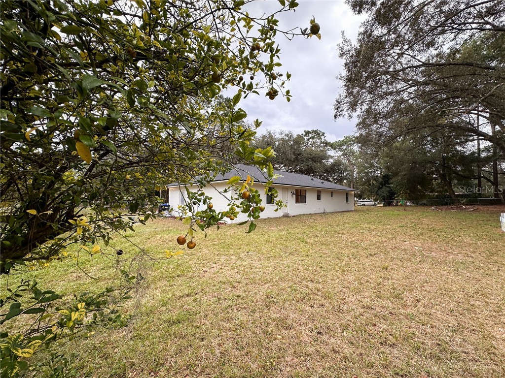 154 W Lewis Avenue Apopka FL 32712 TB8453139 image16