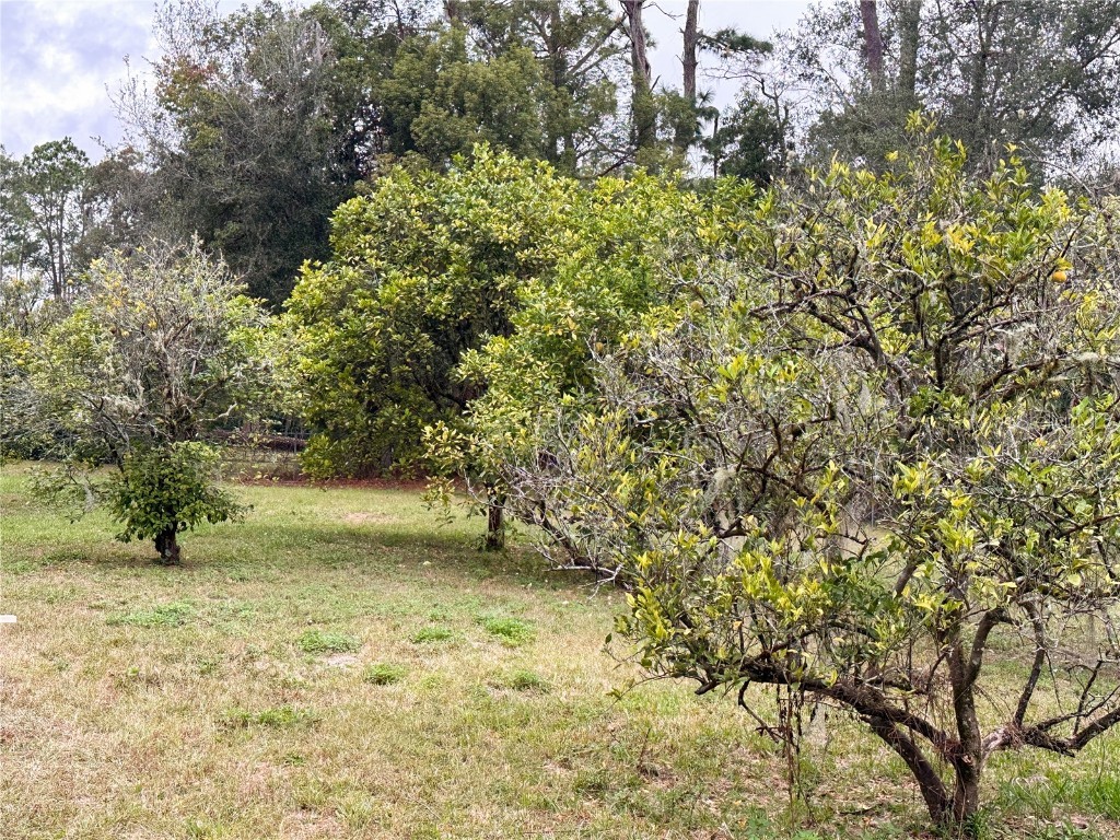 154 W Lewis Avenue Apopka FL 32712 TB8453139 image18