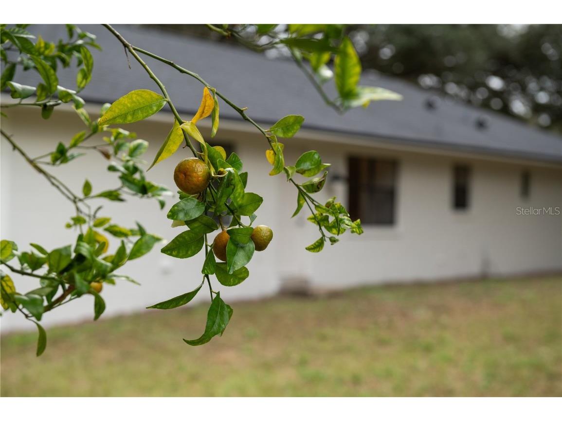 154 W Lewis Avenue Apopka FL 32712 TB8453139 image19