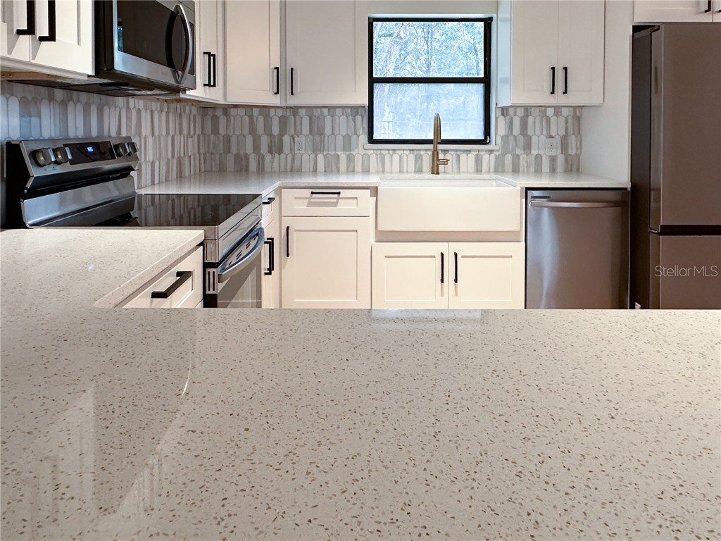 154 W Lewis Avenue Apopka FL 32712 TB8453139 image6