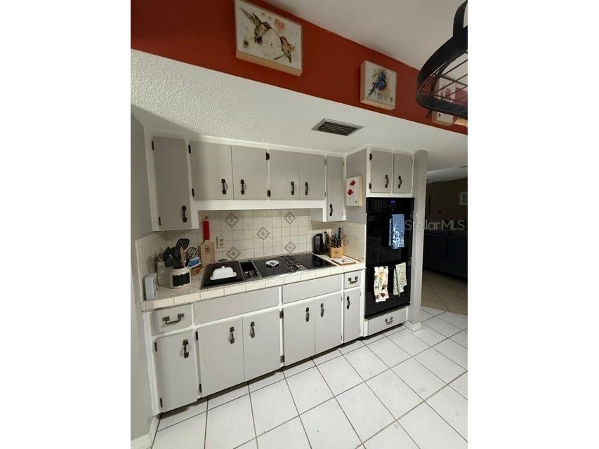 1540 Ashley Oaks Drive Deland FL 32720 O6336915 image3