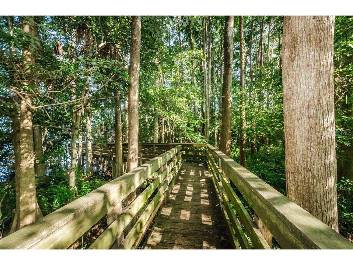 1540 Big Bass Drive Tarpon Springs FL 34689 - LAKE TARPON TB8397286 image41