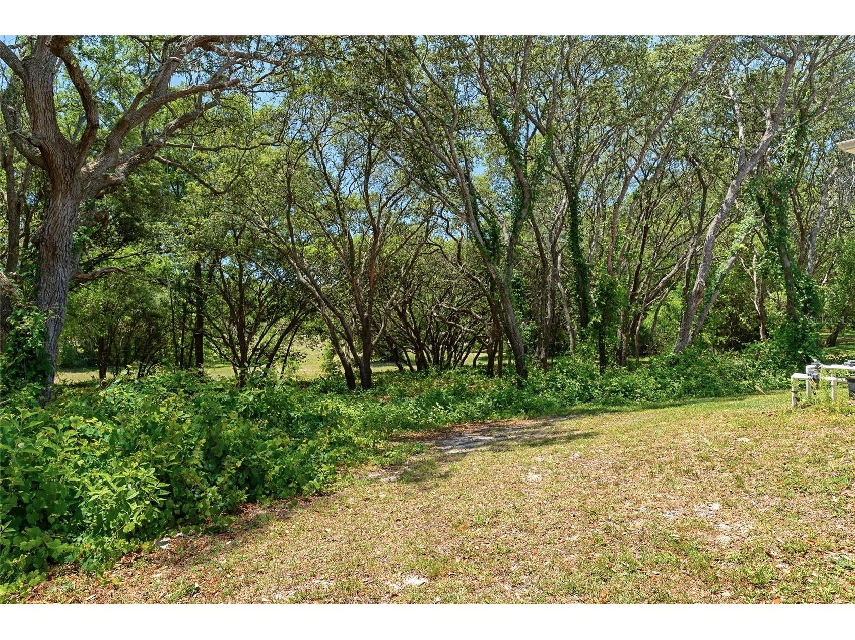 1540 E Wedgewood Lane Hernando FL 34442 OM724444 image61