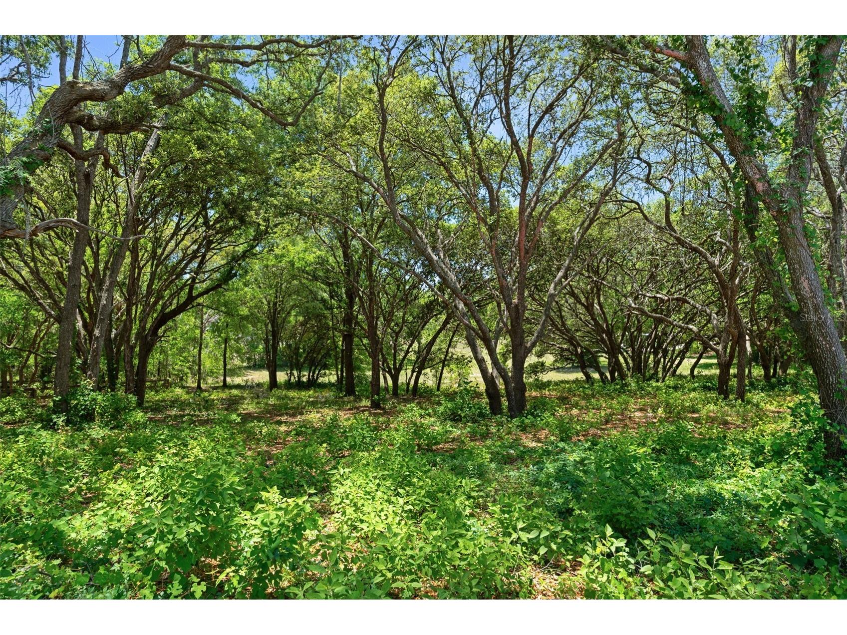 1540 E Wedgewood Lane Hernando FL 34442 OM724444 image62