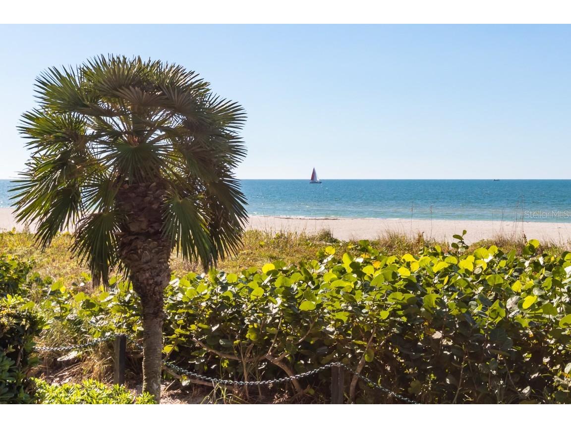 1540 Gulf Blvd Ph 3 #PH 3 Clearwater FL 33767 - GULF OF MEXICO TB8373118 image6
