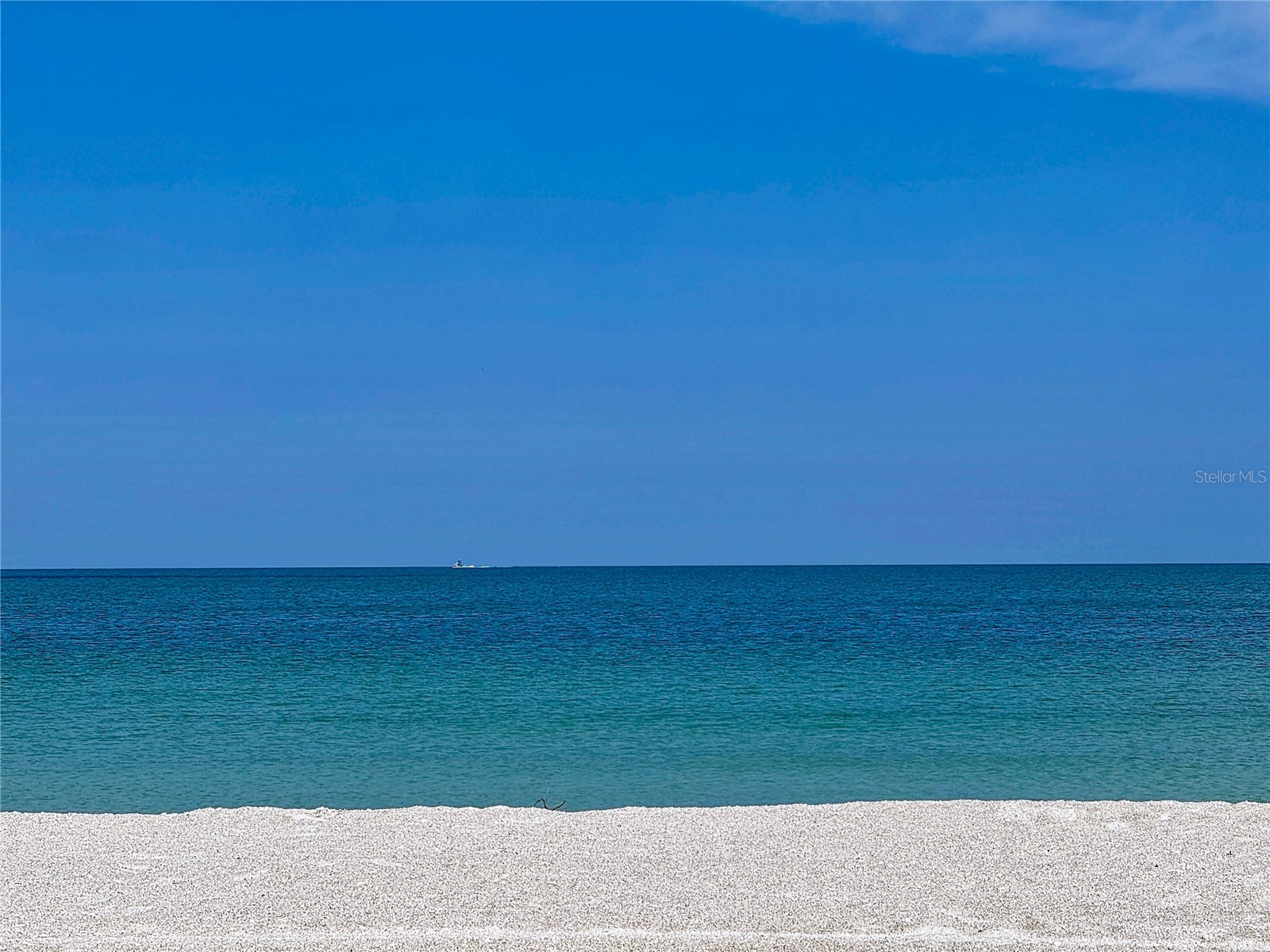 1540 Gulf Boulevard #304 Clearwater Beach FL 33767 - GULF OF MEXICO TB8500388 image67