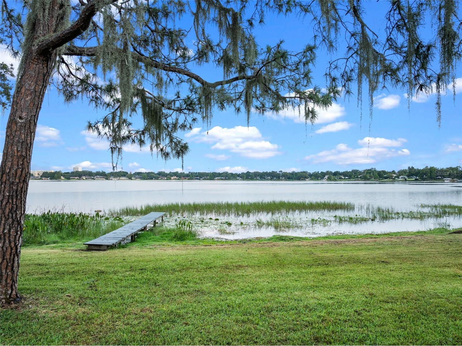 1540 N Lake Mirror Drive NW Winter Haven FL 33881 - LAKE MIRROR P4934907 image46