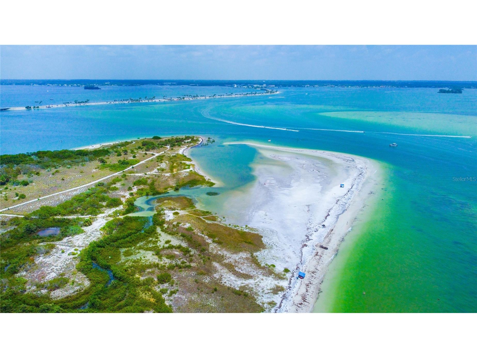 1540 San Helen Drive Dunedin FL 34698 TB8515244 image36