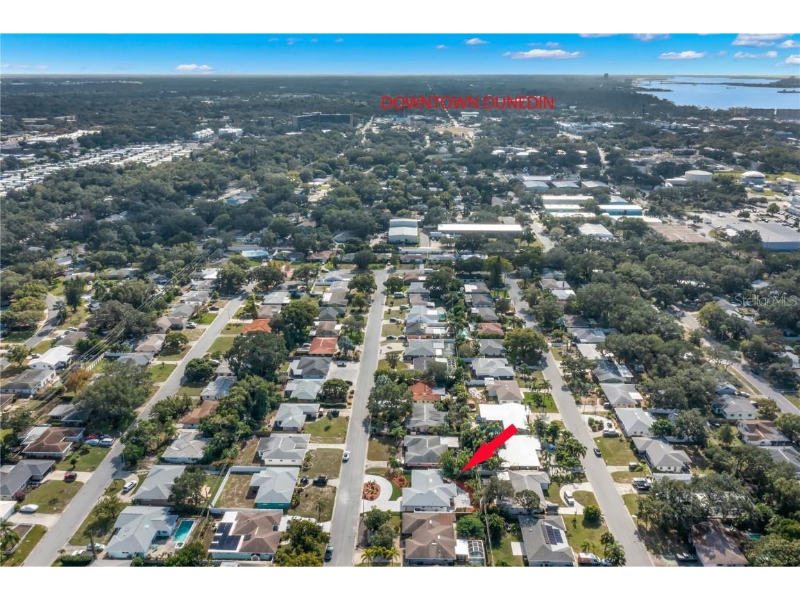1540 San Roy Drive Dunedin FL 34698 TB8457393 image20