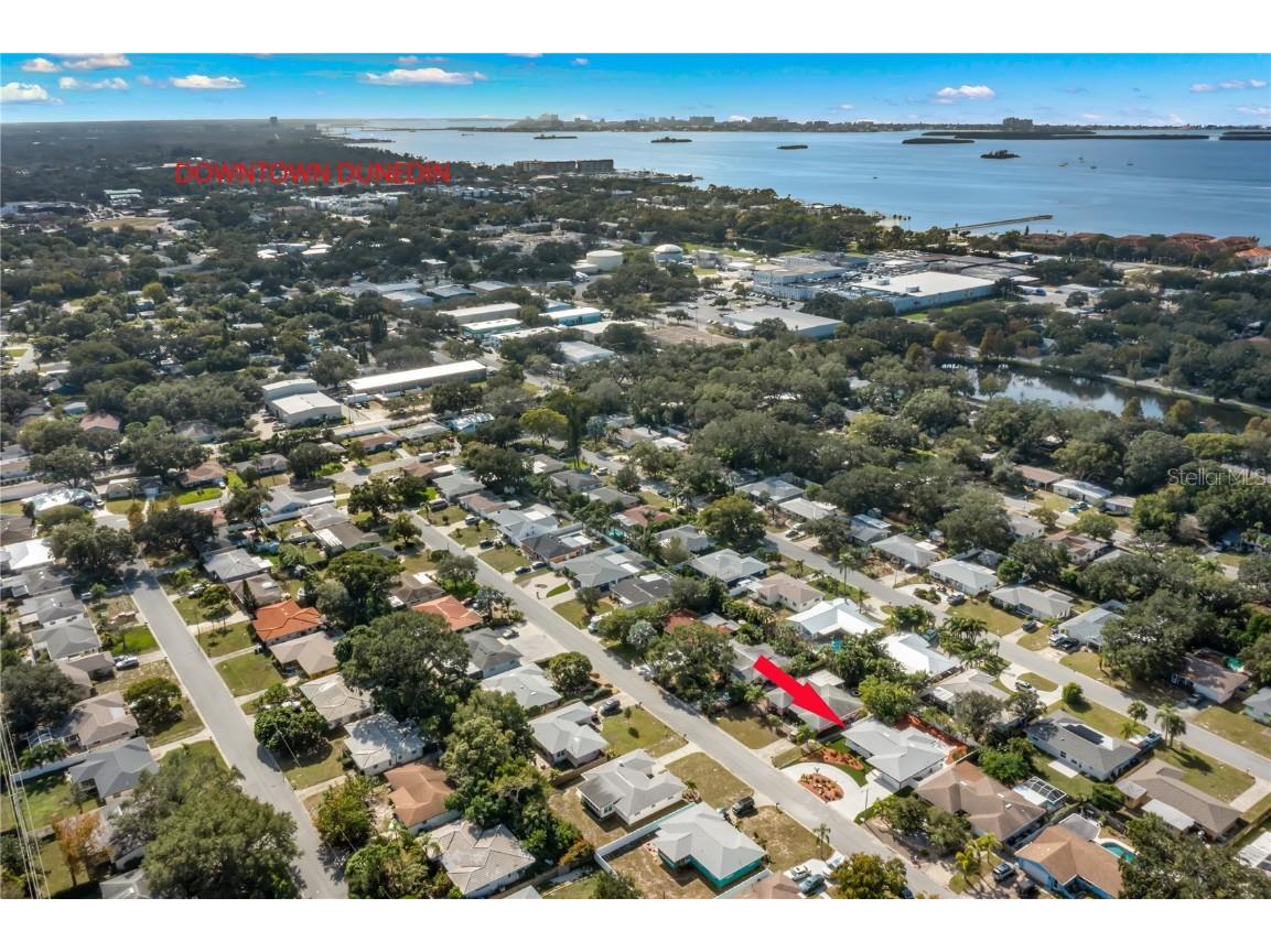 1540 San Roy Drive Dunedin FL 34698 TB8457393 image21