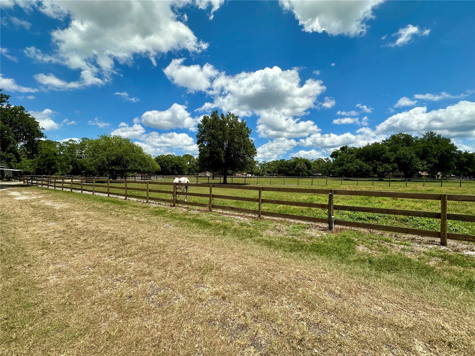 1540 Stone Trail Deltona FL 32725 O6402804 image36