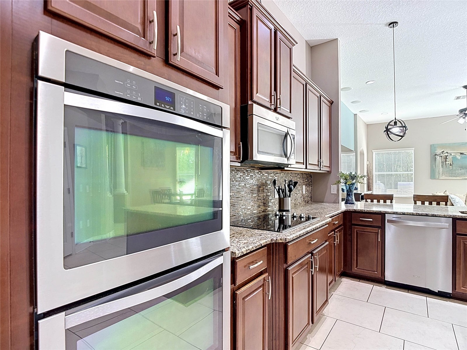 15401 Azra Drive Odessa FL 33556 TB8512424 image18