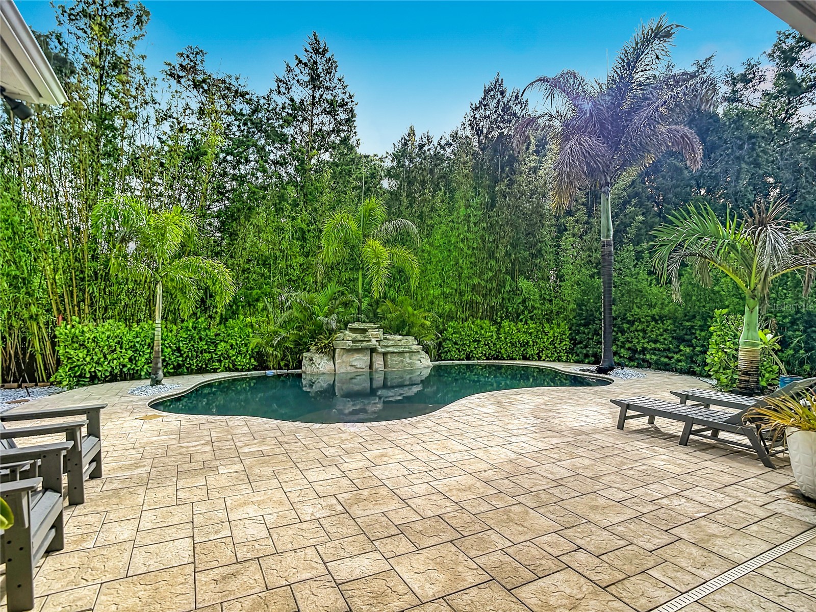 15401 Azra Drive Odessa FL 33556 TB8512424 image2