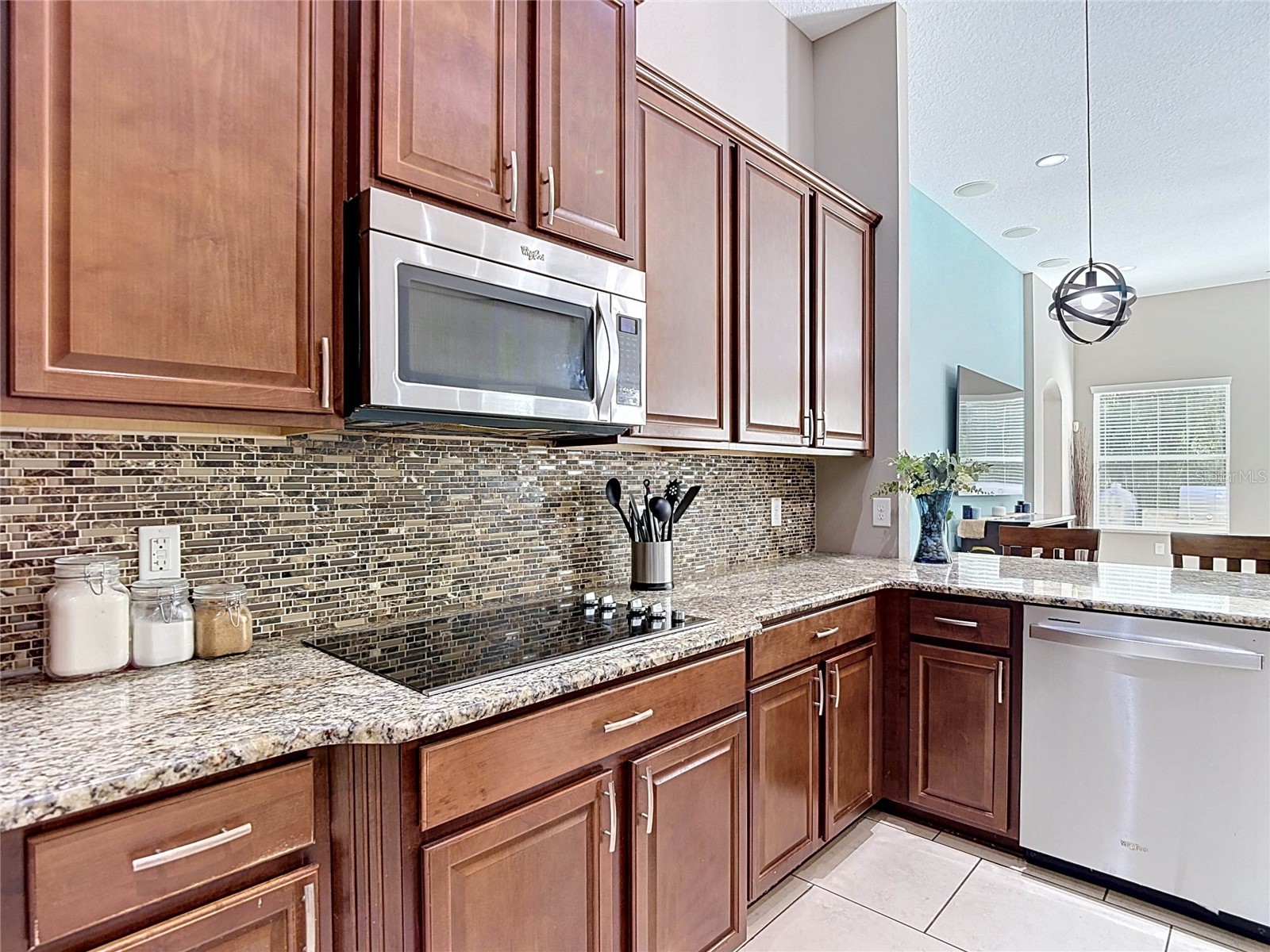 15401 Azra Drive Odessa FL 33556 TB8512424 image20