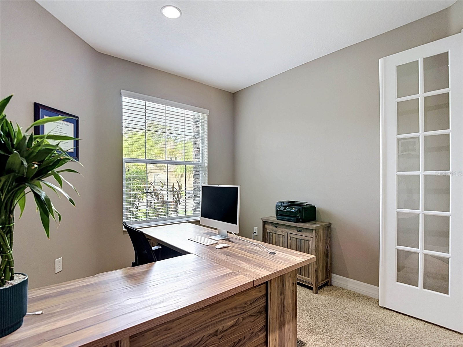 15401 Azra Drive Odessa FL 33556 TB8512424 image35