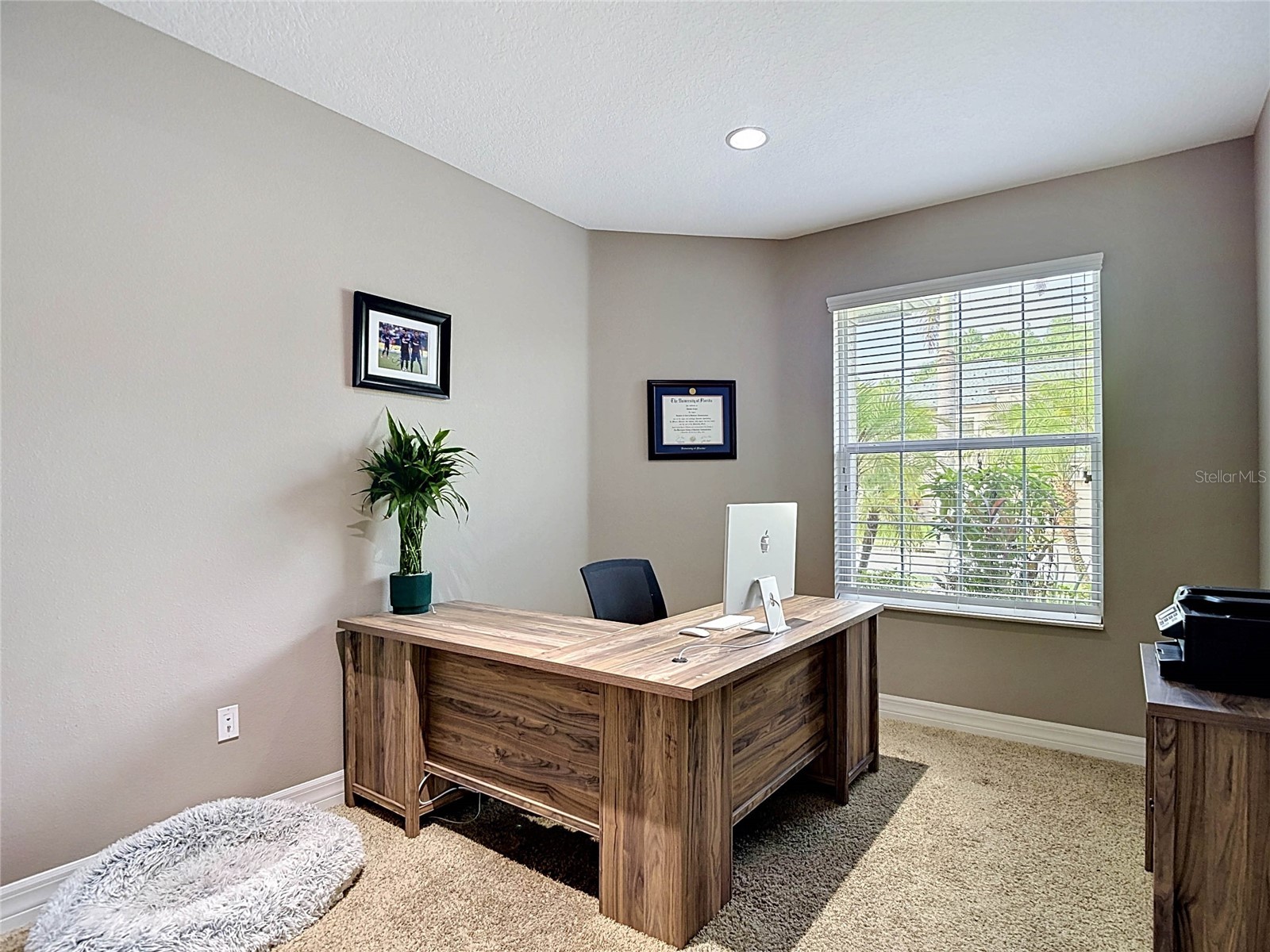 15401 Azra Drive Odessa FL 33556 TB8512424 image36