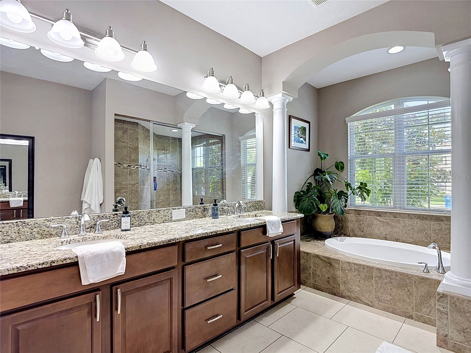 15401 Azra Drive Odessa FL 33556 TB8512424 image43
