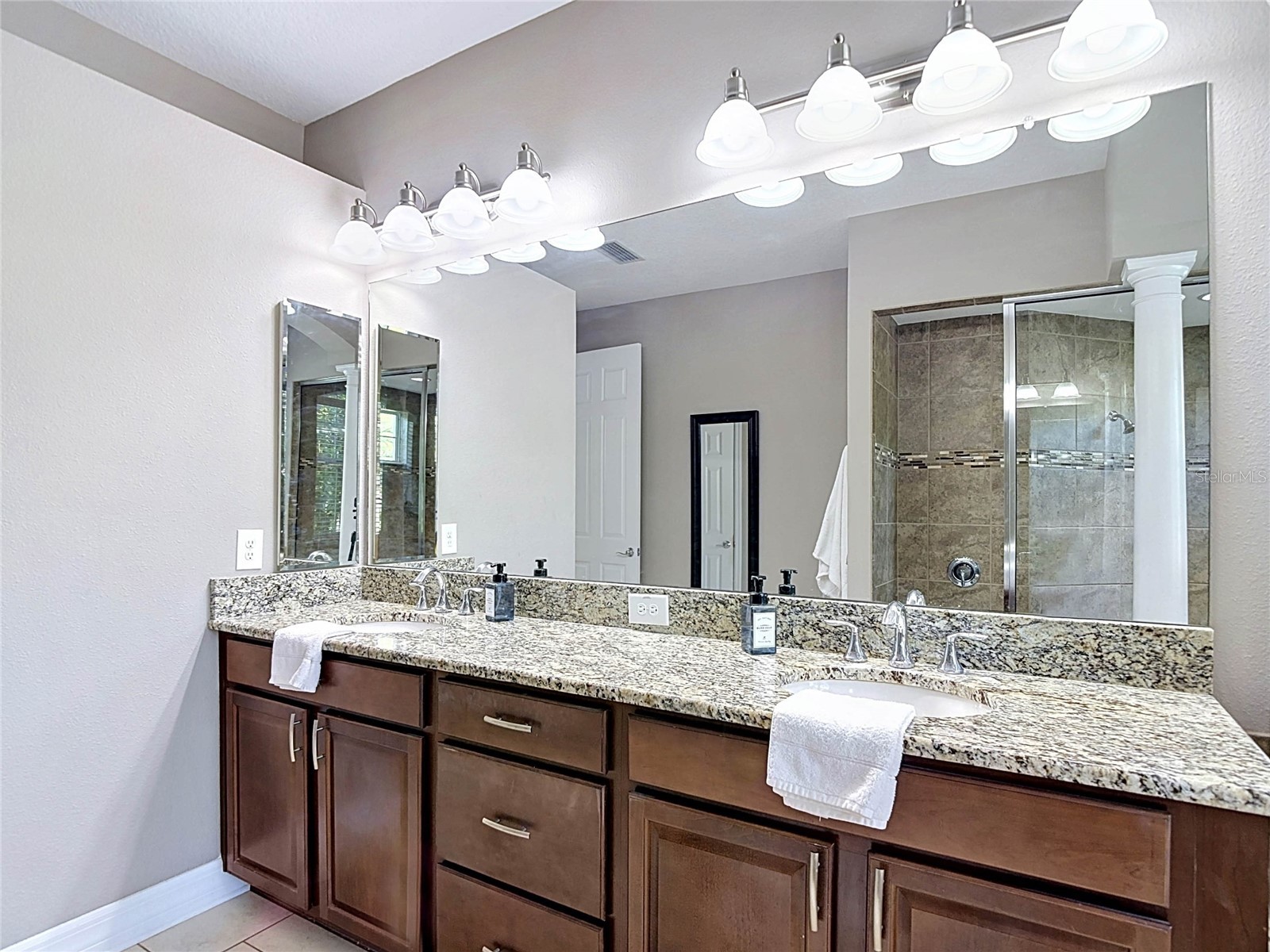 15401 Azra Drive Odessa FL 33556 TB8512424 image44