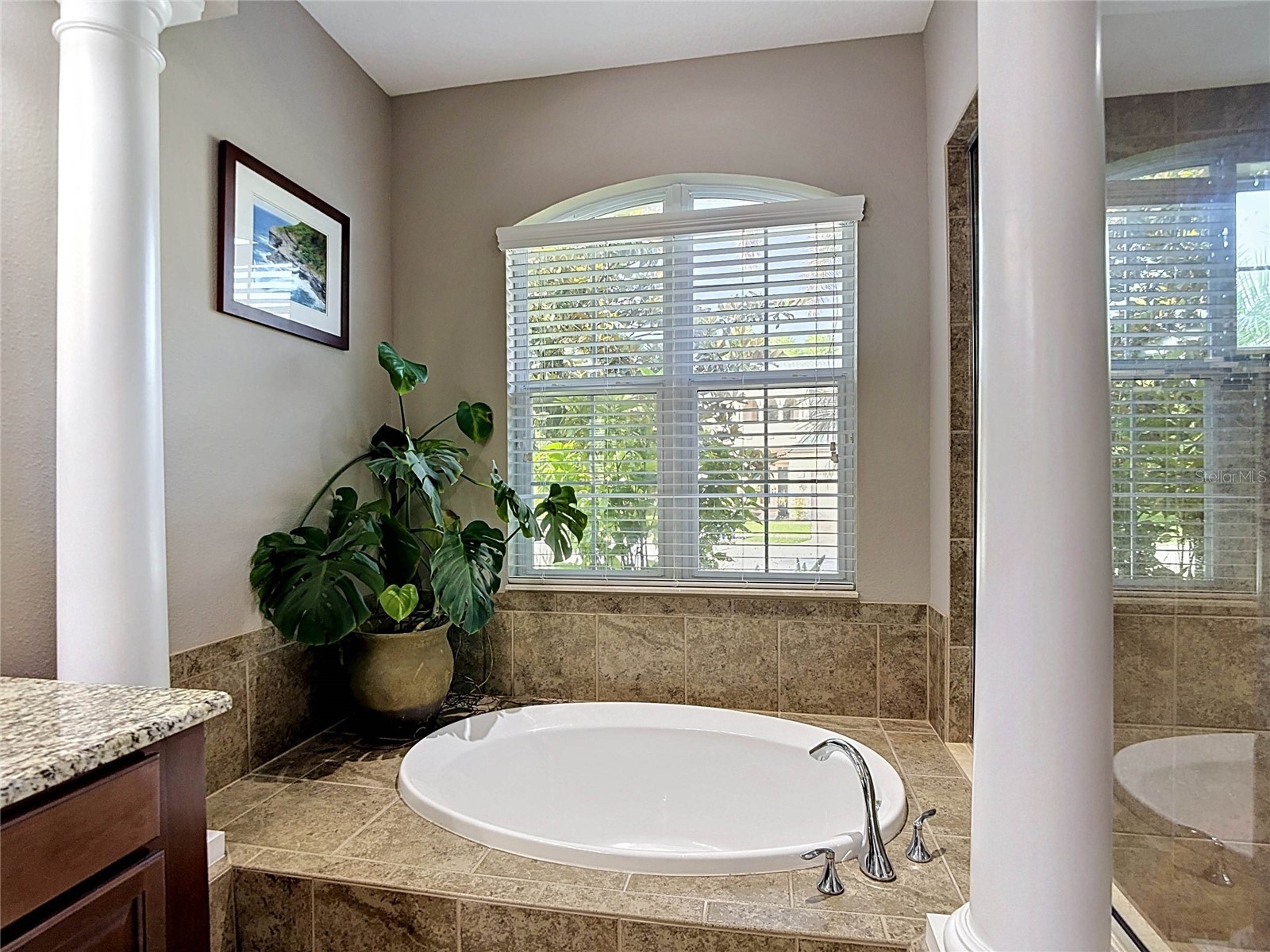 15401 Azra Drive Odessa FL 33556 TB8512424 image45