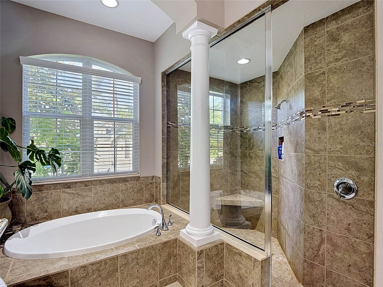 15401 Azra Drive Odessa FL 33556 TB8512424 image46