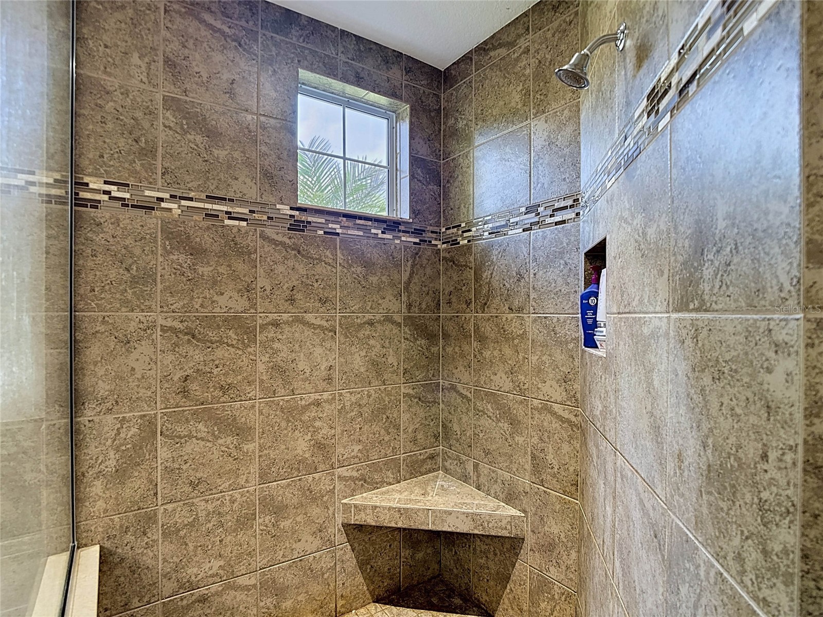 15401 Azra Drive Odessa FL 33556 TB8512424 image47