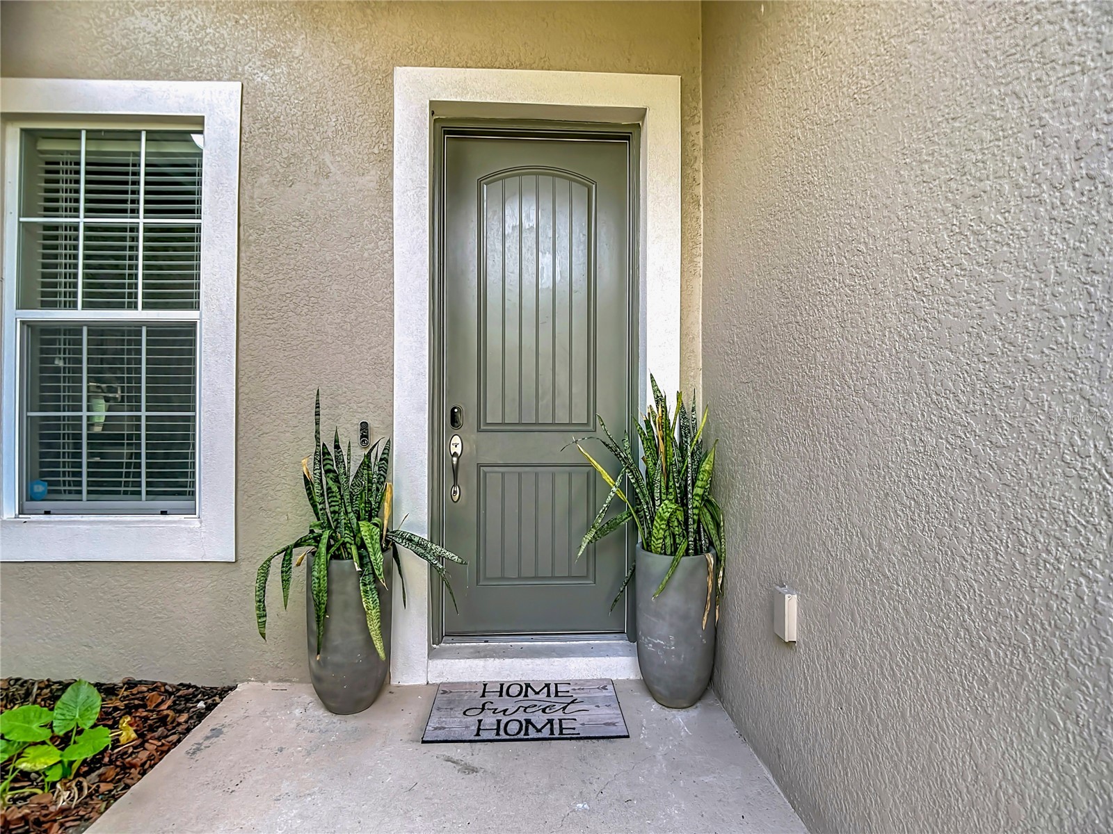 15401 Azra Drive Odessa FL 33556 TB8512424 image5
