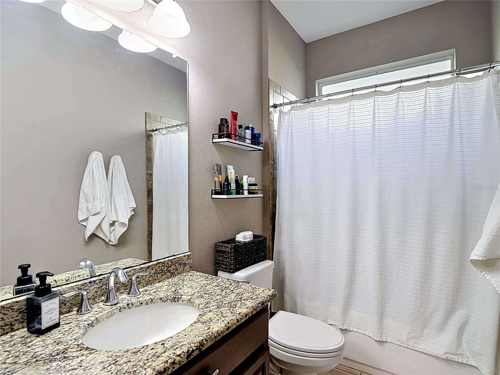 15401 Azra Drive Odessa FL 33556 TB8512424 image52