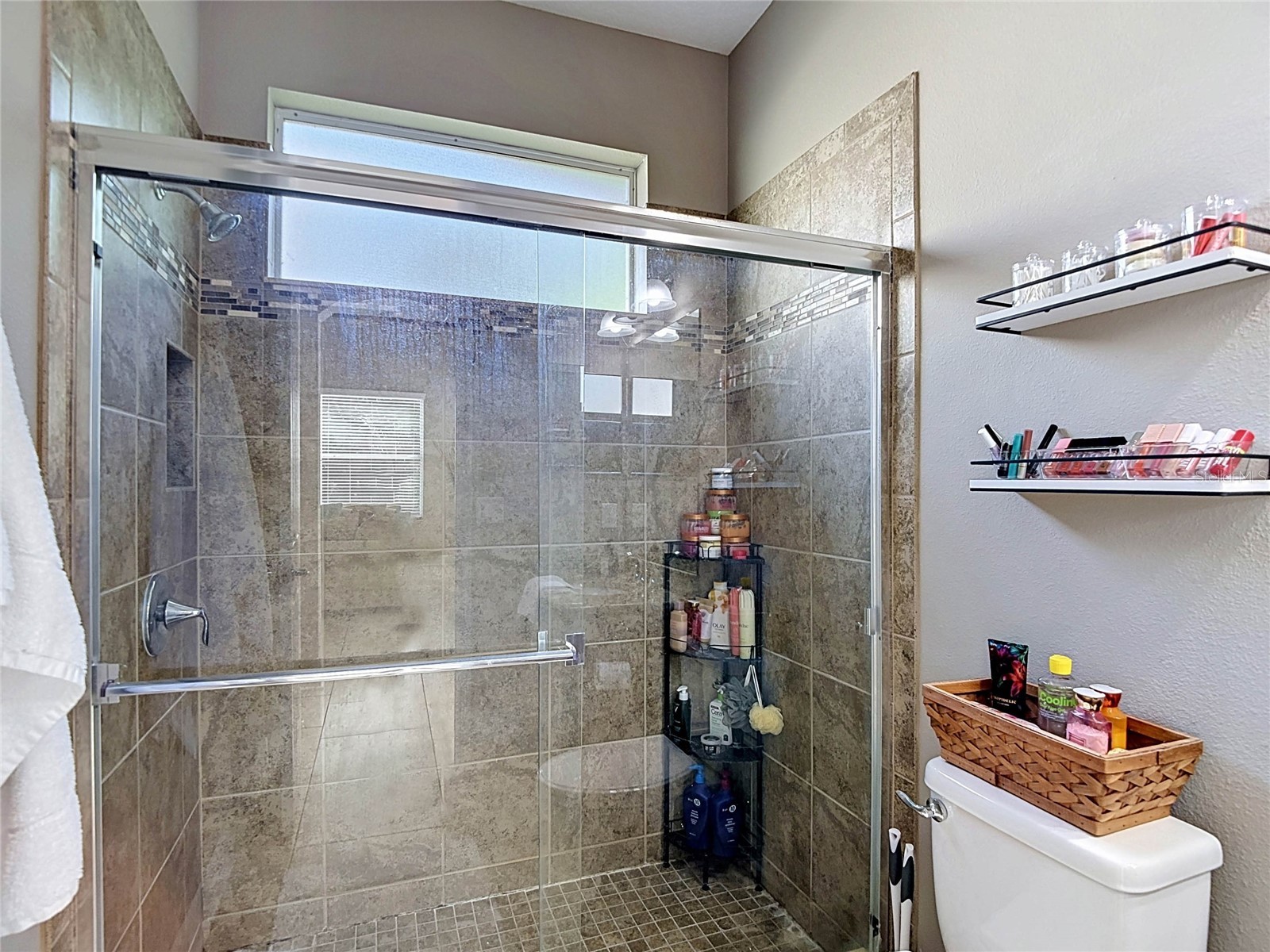 15401 Azra Drive Odessa FL 33556 TB8512424 image59