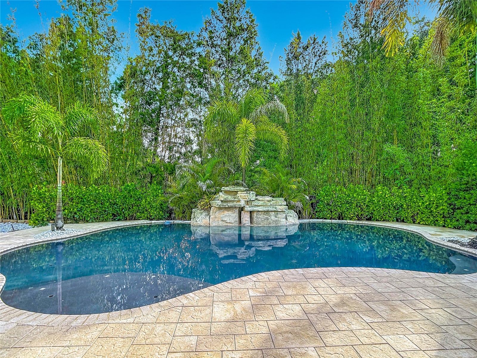 15401 Azra Drive Odessa FL 33556 TB8512424 image71