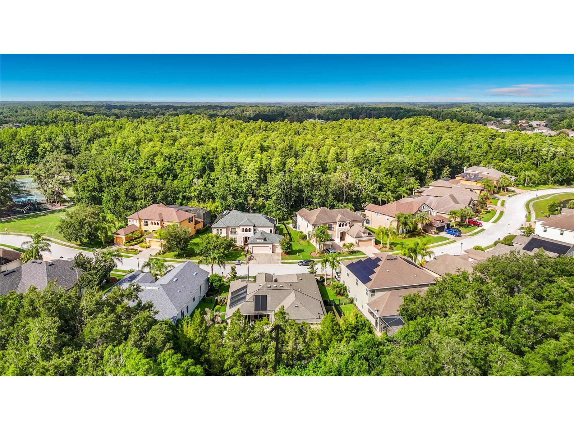 15401 Azra Drive Odessa FL 33556 TB8512424 image85
