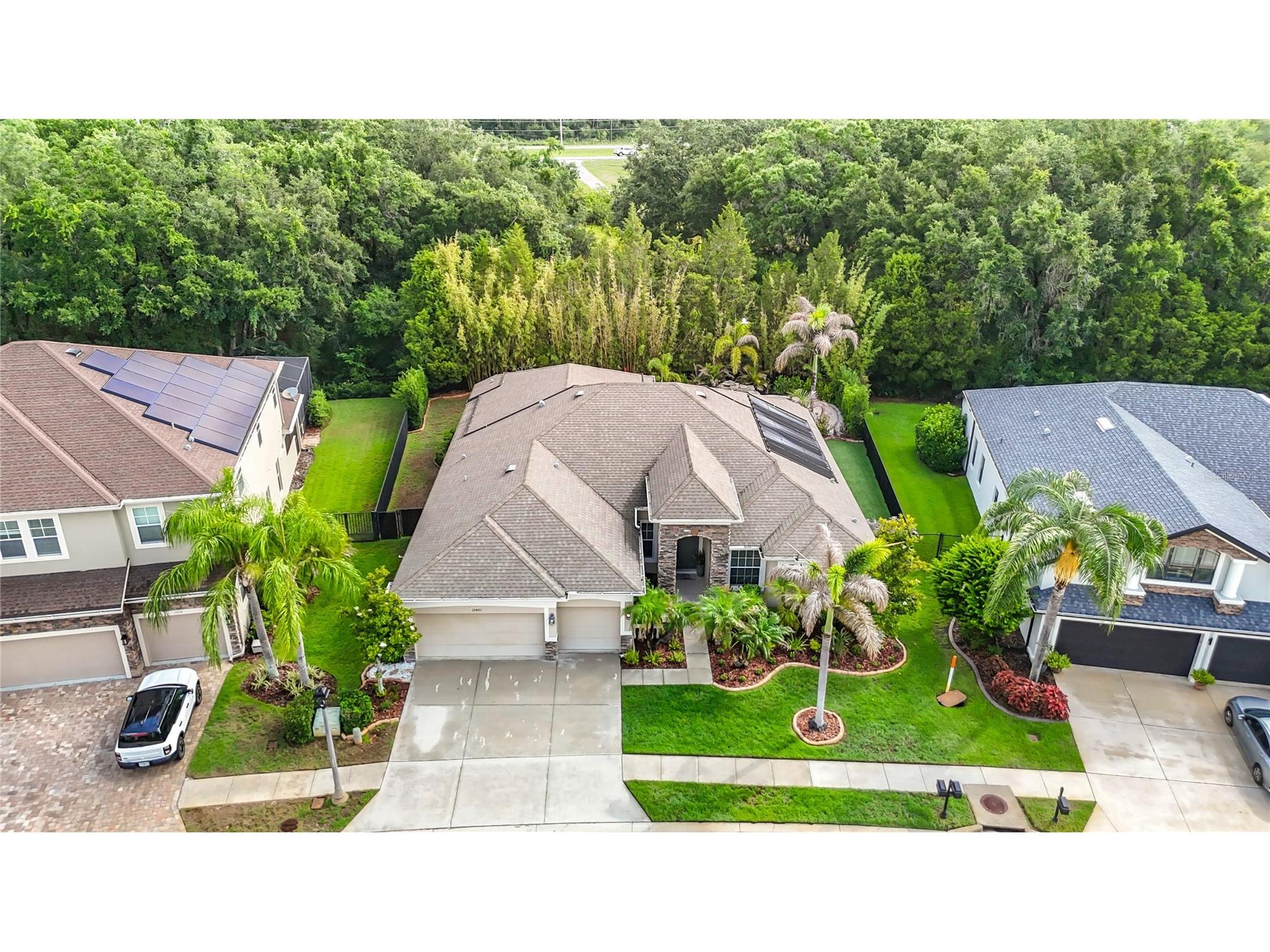 15401 Azra Drive Odessa FL 33556 TB8512424 image86