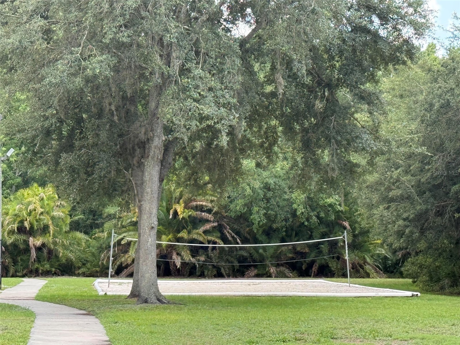 15401 Azra Drive Odessa FL 33556 TB8512424 image91