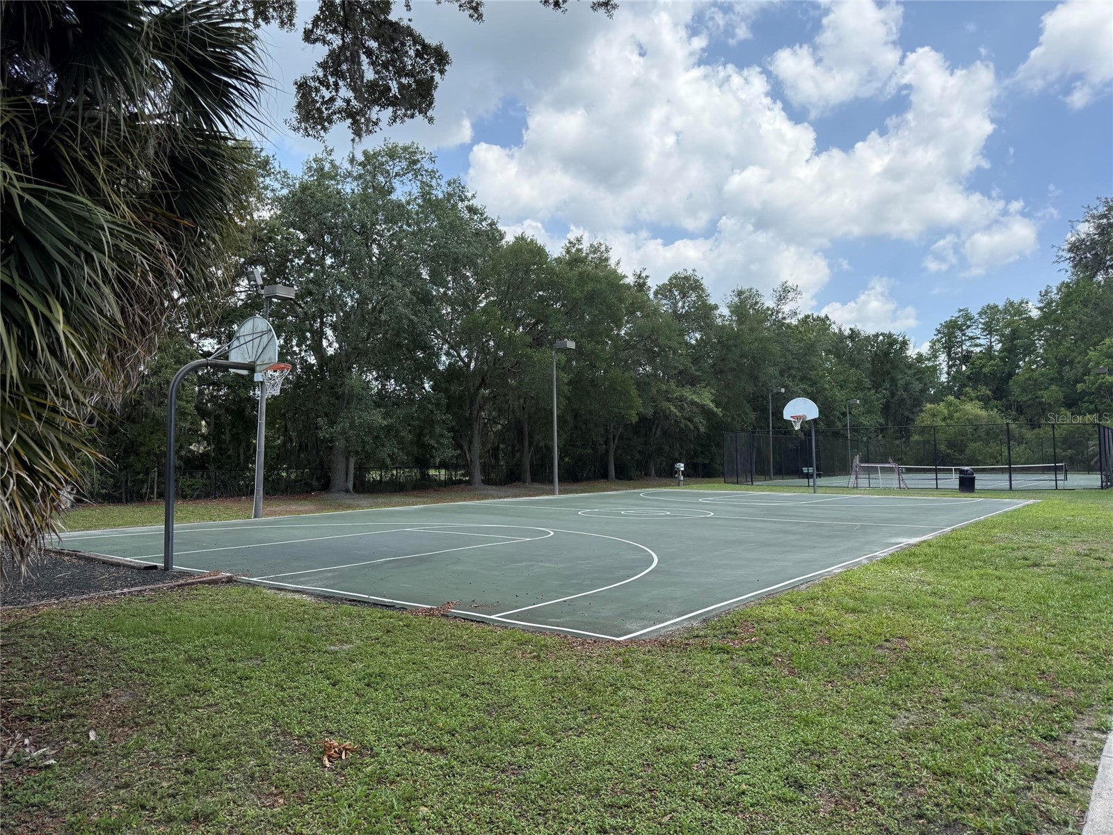15401 Azra Drive Odessa FL 33556 TB8512424 image92