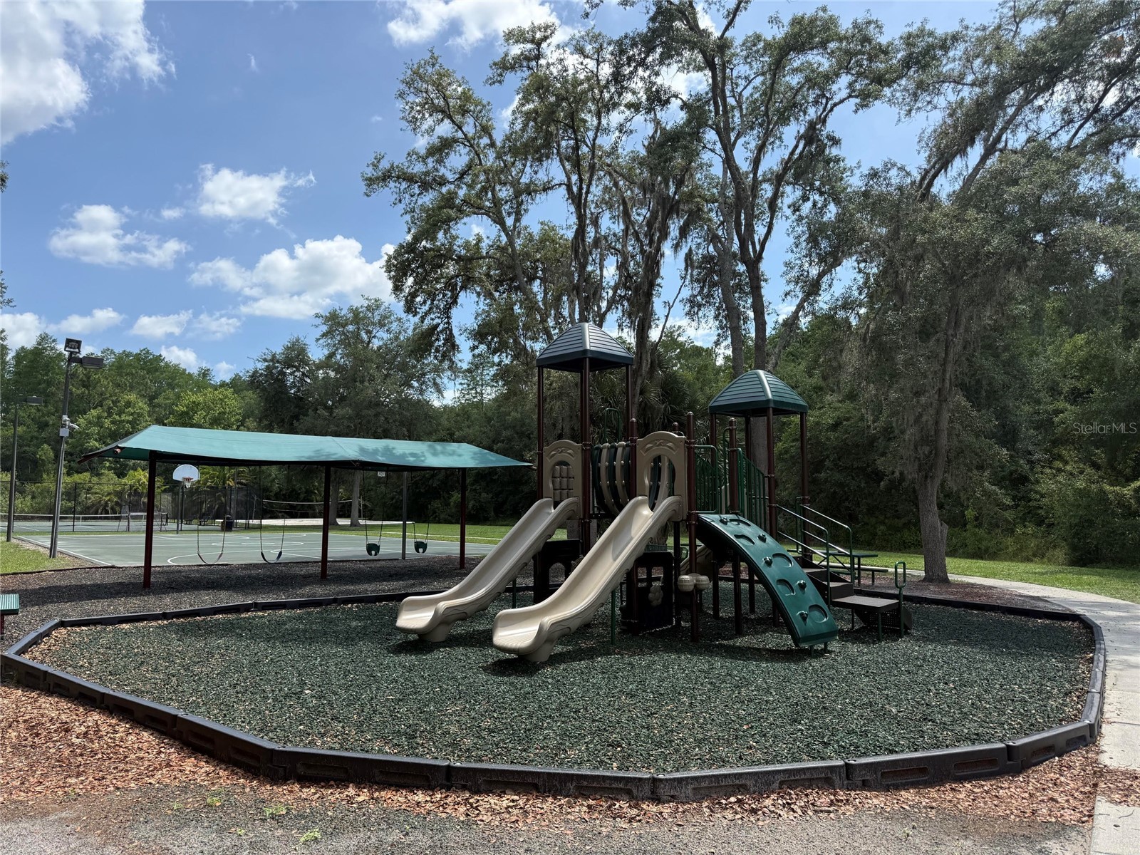 15401 Azra Drive Odessa FL 33556 TB8512424 image93